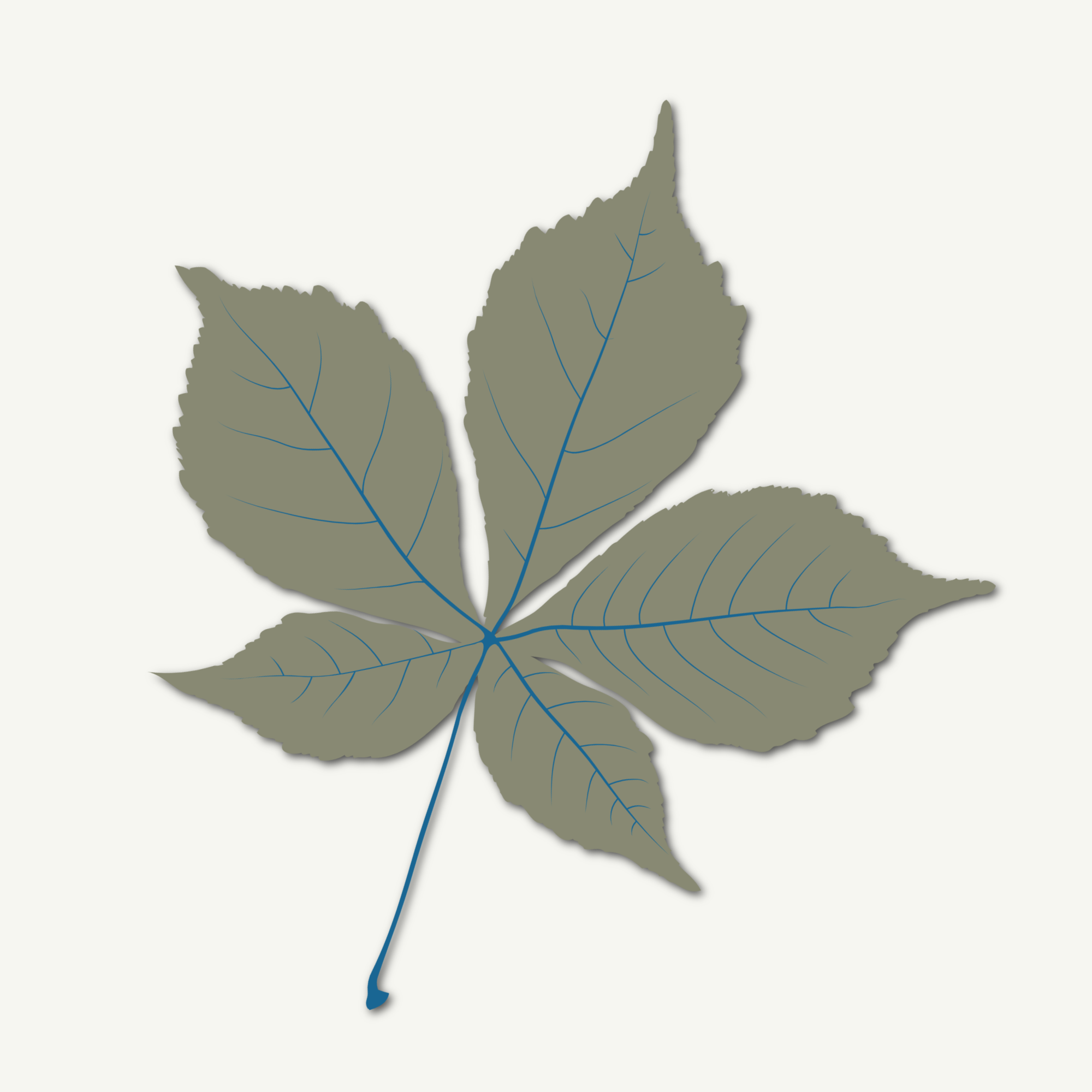 C.R.